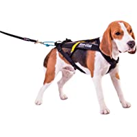 Los mejores  - Non-Stop dogwear - Arnés para perros Non-Stop Freemotion- negro- 4